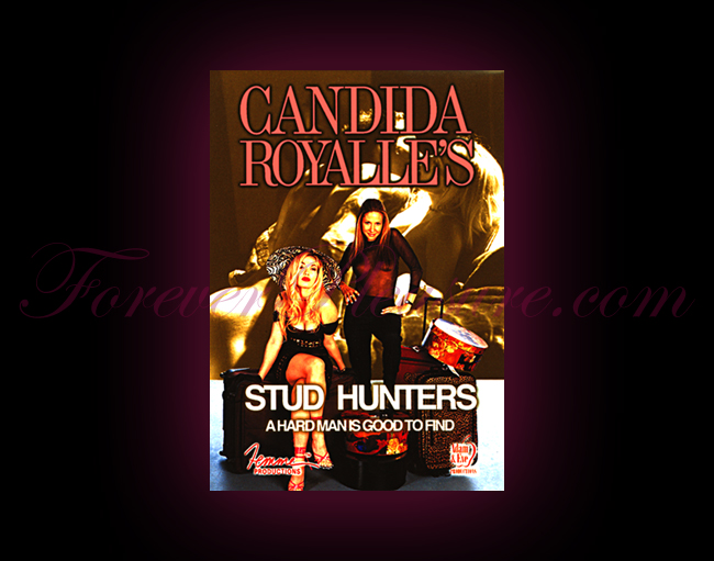 Candida Royalle's Stud Hunters